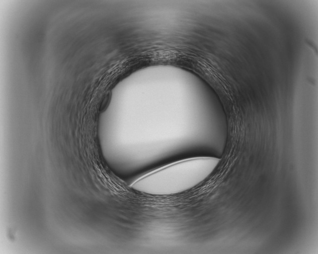 X0000101421153200807071024
