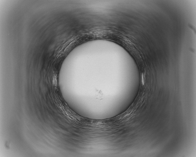 X0000101421155200807071024