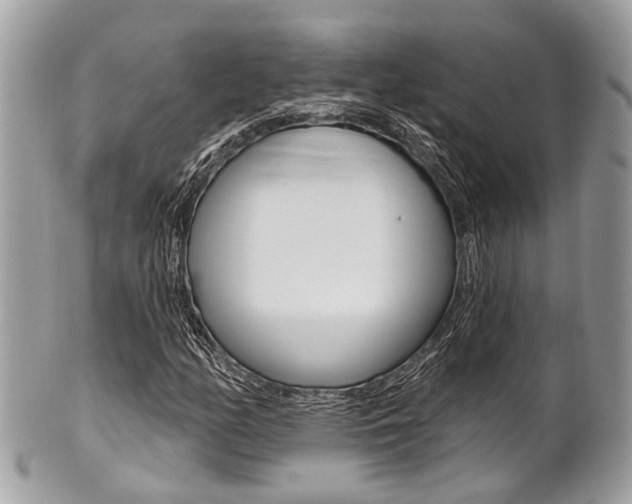 X0000101421158200807071024
