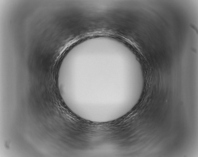 X0000101421160200807071024