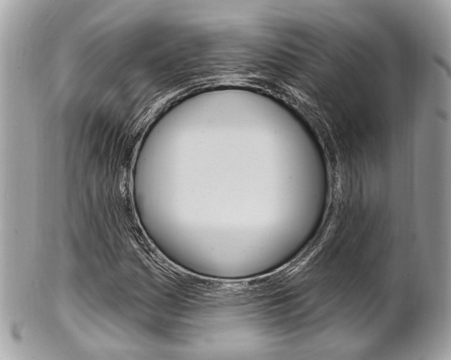 X0000101421161200807071024
