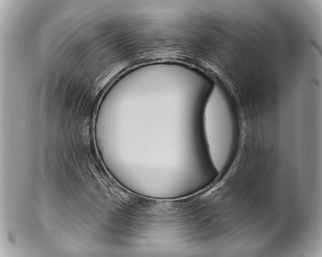 X0000101421162200807071024