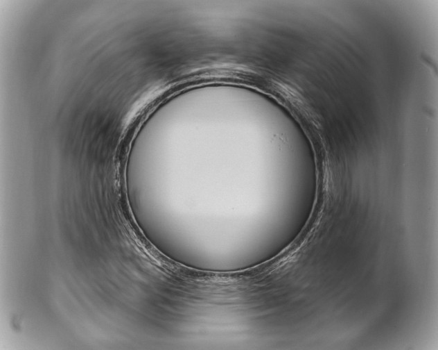 X0000101421164200807071024