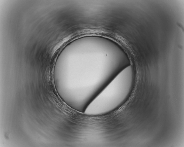 X0000101421165200807071024
