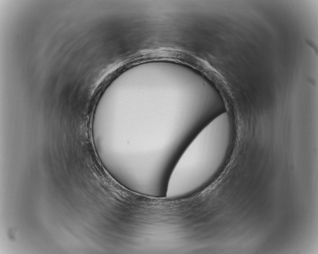 X0000101421166200807071024
