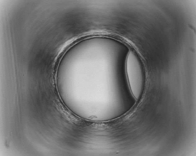 X0000101421168200807071024