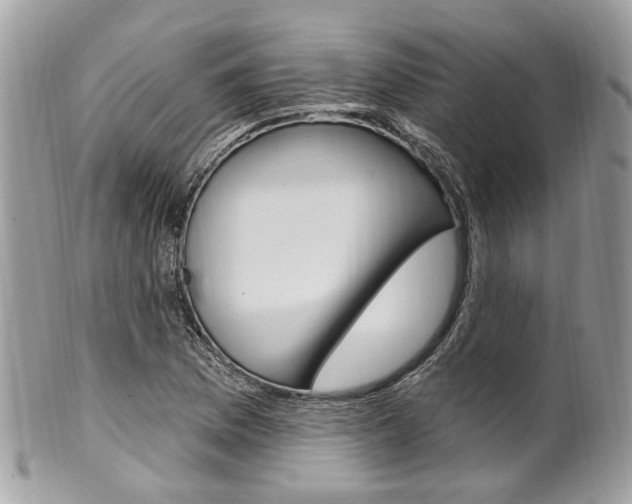 X0000101421169200807071024