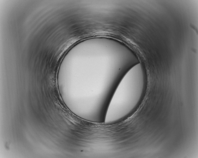 X0000101421170200807071024