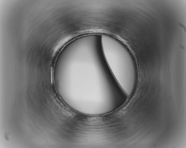 X0000101421171200807071024