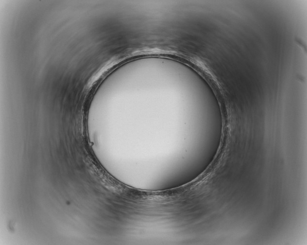 X0000101421173200807071024