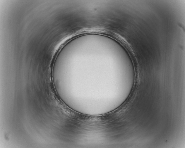 X0000101421174200807071024