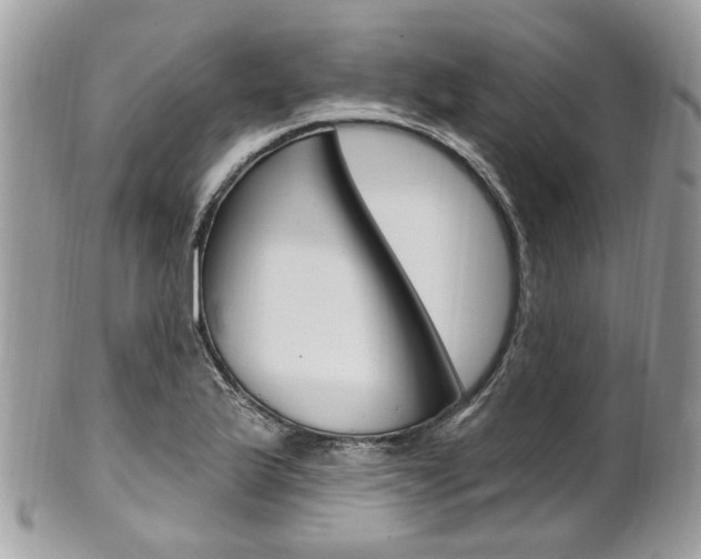 X0000101421175200807071024