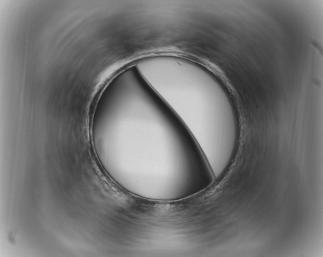 X0000101421176200807071024
