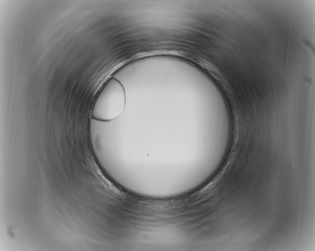 X0000101421177200807071024