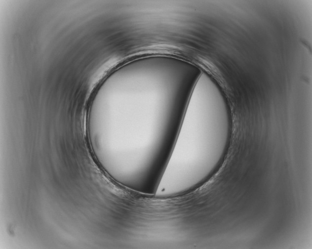 X0000101421180200807071023