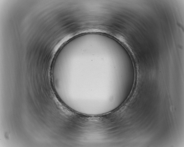 X0000101421181200807071023