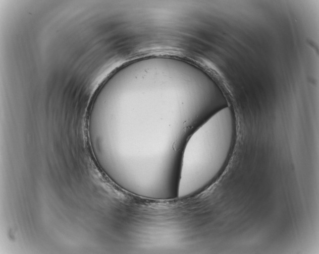 X0000101421182200807071023