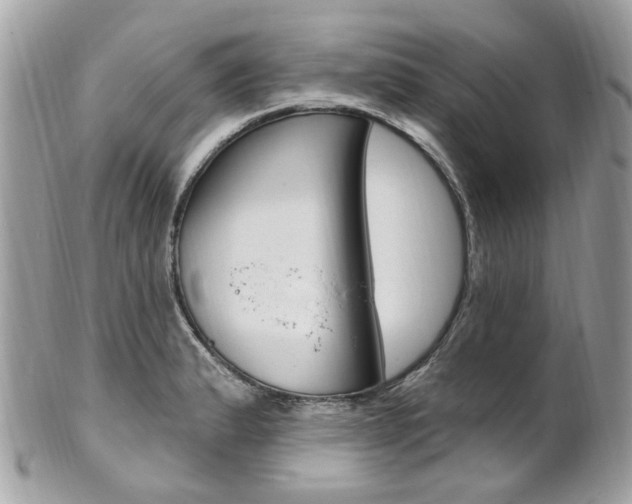 X0000101421183200807071023