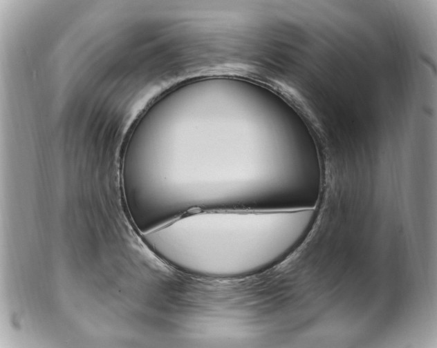 X0000101421184200807071023