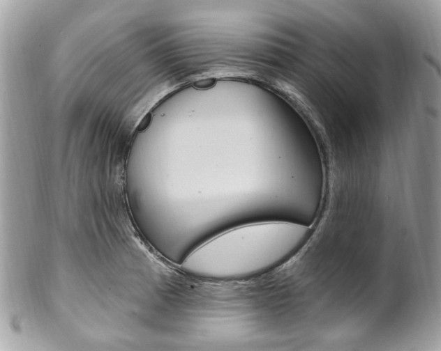 X0000101421185200807071023