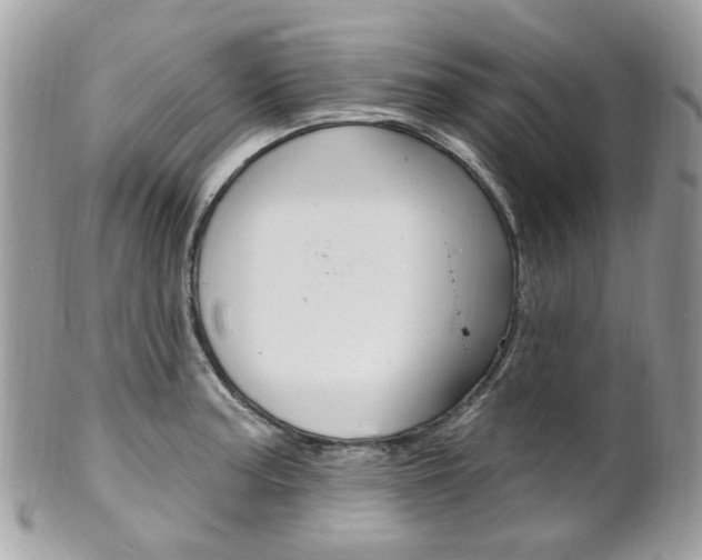 X0000101421187200807071023