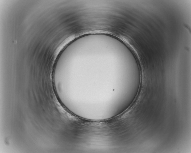 X0000101421189200807071023