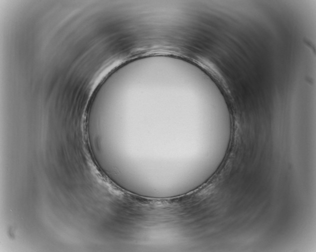 X0000101421190200807071023