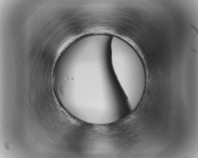 X0000101421191200807071023