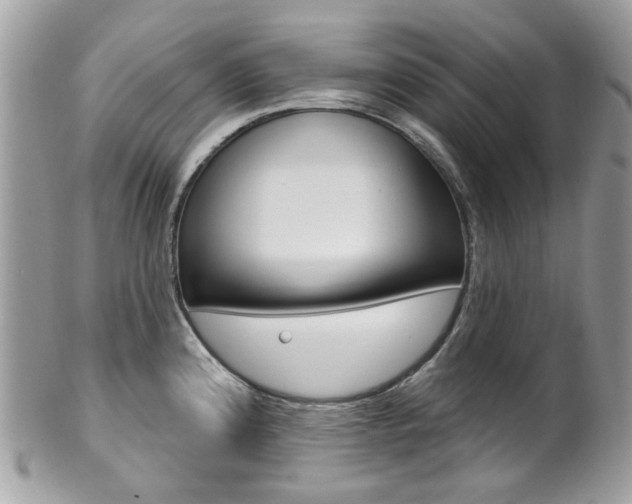 X0000101421192200807071023