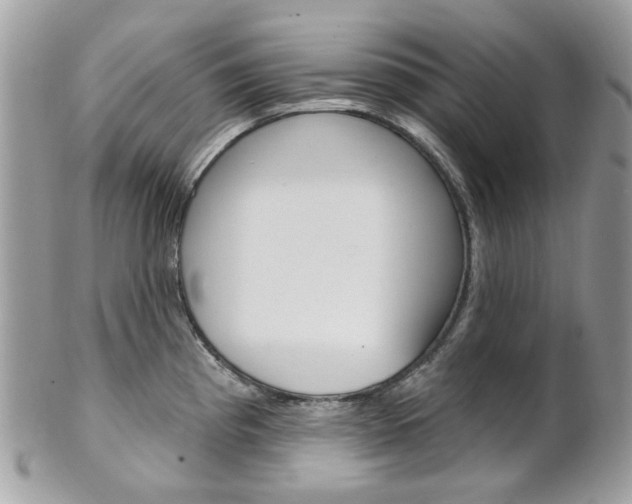 X0000101421193200807071023