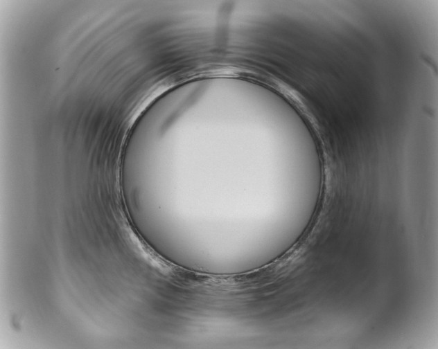 X0000101421194200807071023