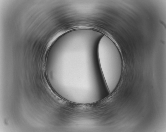 X0000101421195200807071023