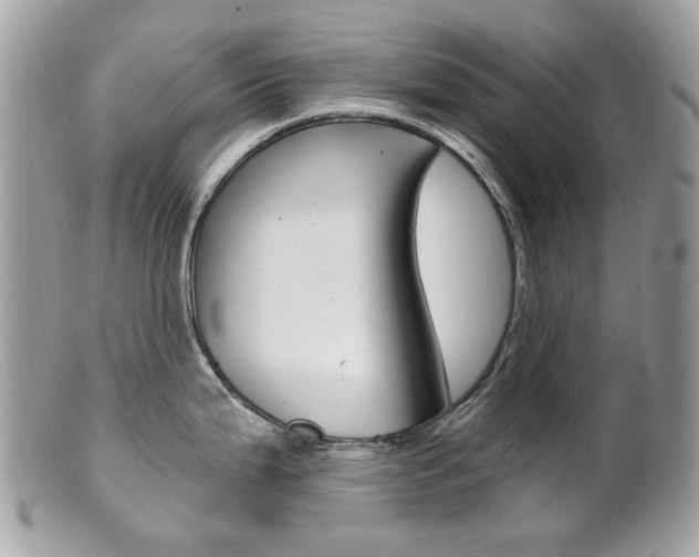 X0000101421199200807071023