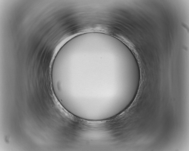 X0000101421200200807071023