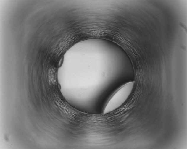 X0000101421202200807071022