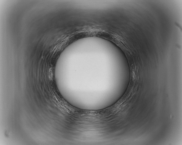 X0000101421204200807071022