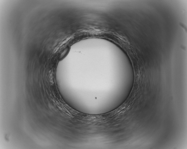 X0000101421205200807071022