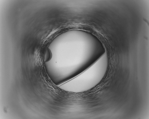 X0000101421206200807071022