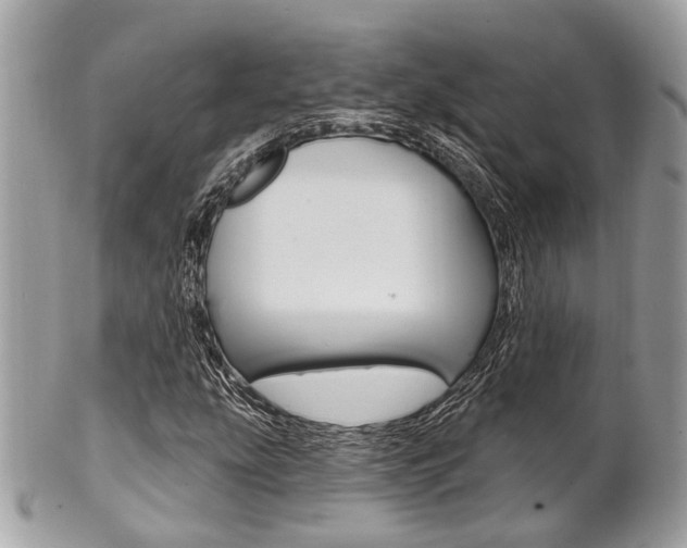 X0000101421207200807071022