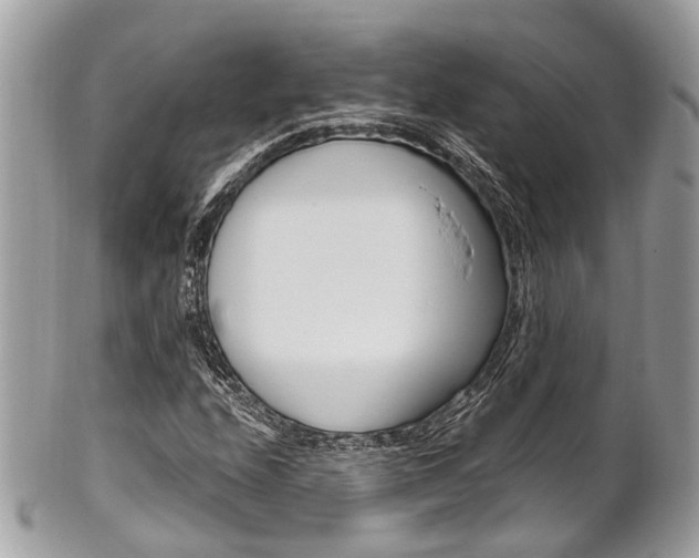 X0000101421208200807071022