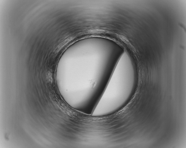 X0000101421209200807071022