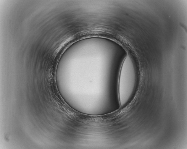 X0000101421210200807071022