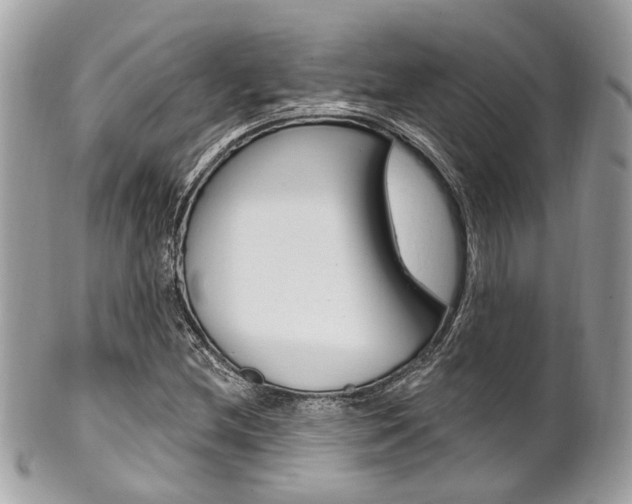 X0000101421212200807071022