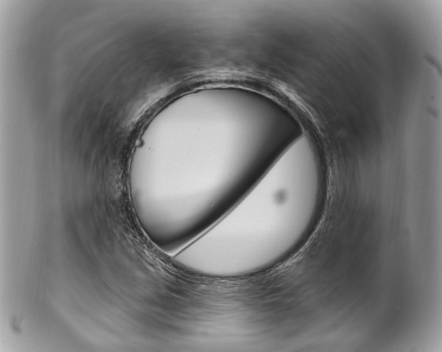 X0000101421213200807071023