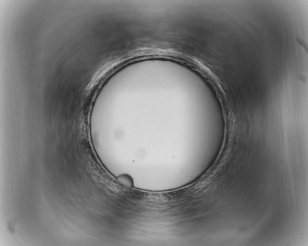 X0000101421215200807071023