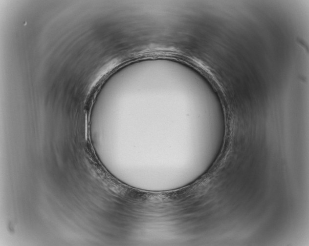 X0000101421219200807071023