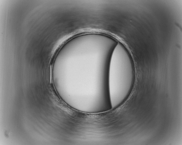 X0000101421223200807071023