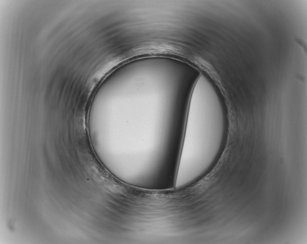 X0000101421226200807071023