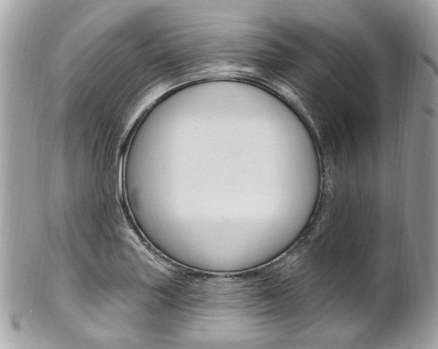 X0000101421227200807071023