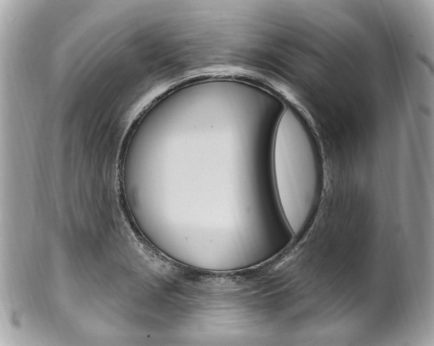 X0000101421229200807071023